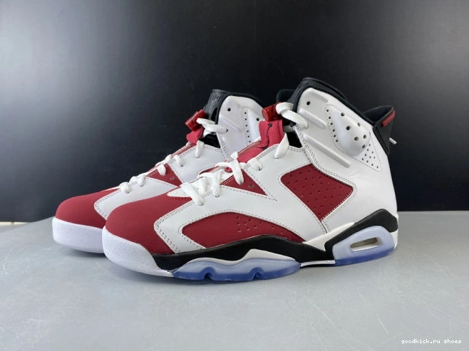 RETRO 6 AIR 384664-160 2014 'CARMINE' JORDAN 0729